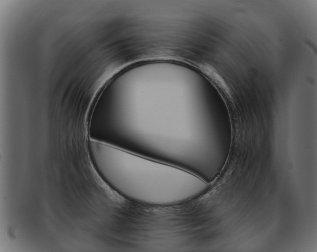 X0000093591380200710151009