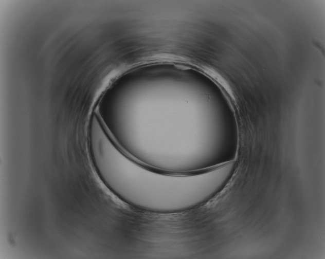 X0000093591381200710151009