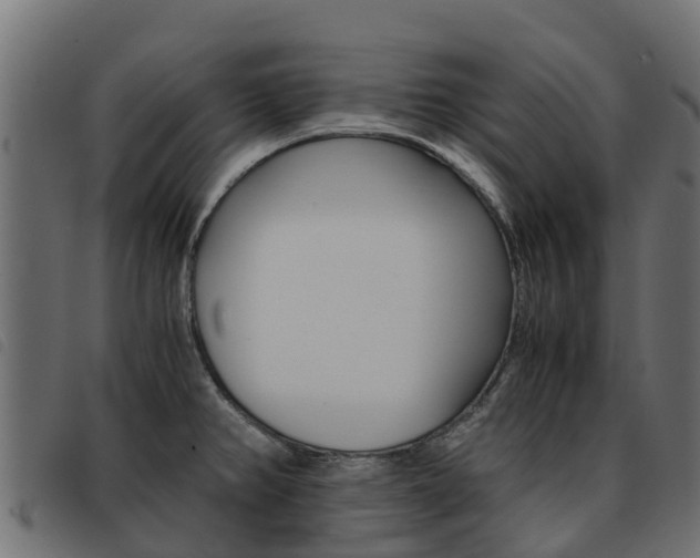 X0000093591382200710151009