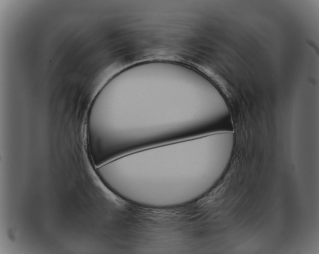 X0000093591383200710151009