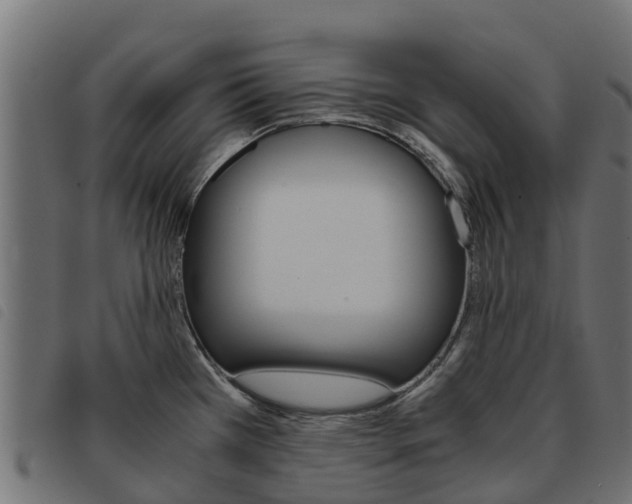 X0000093591385200710151009