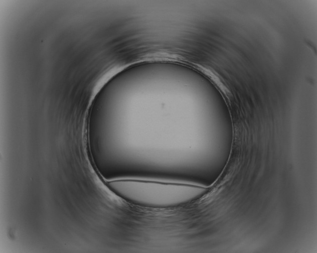 X0000093591387200710151009