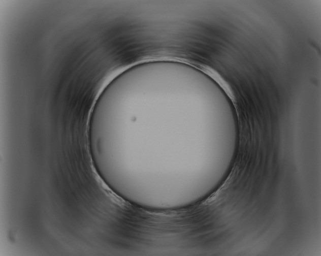 X0000093591388200710151008
