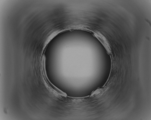 X0000093591389200710151008