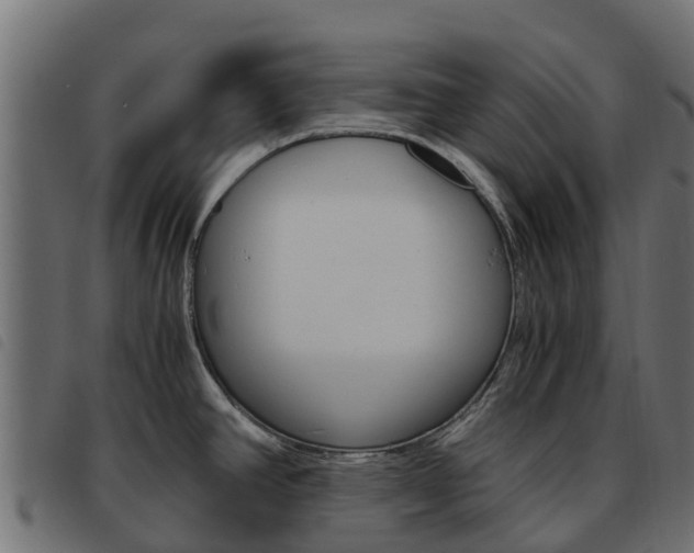 X0000093591390200710151008