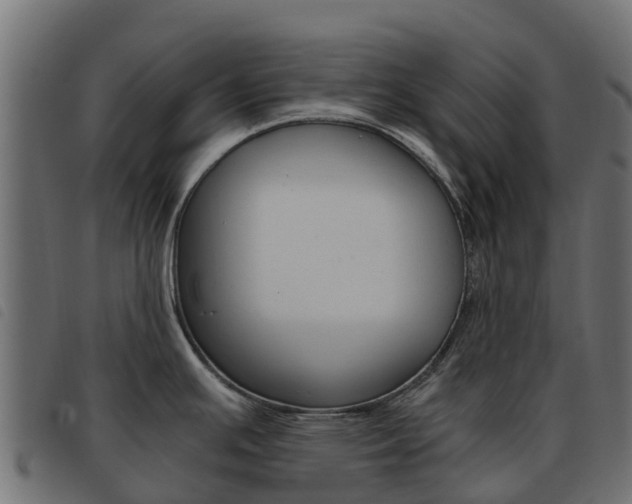 X0000093591391200710151008