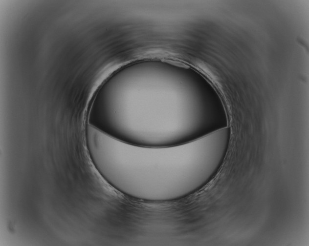 X0000093591392200710151008