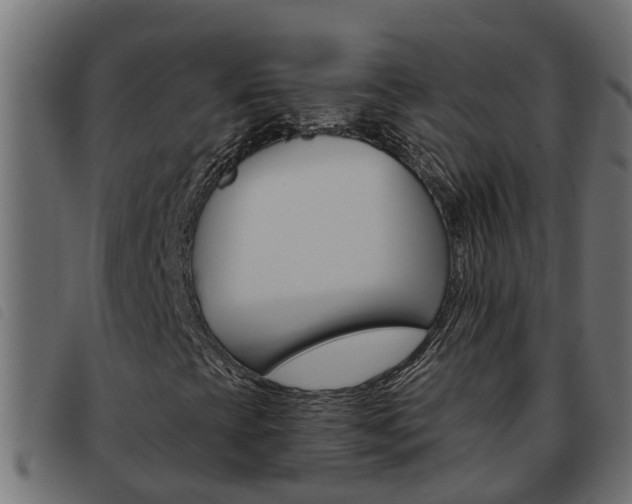 X0000093591393200710151008