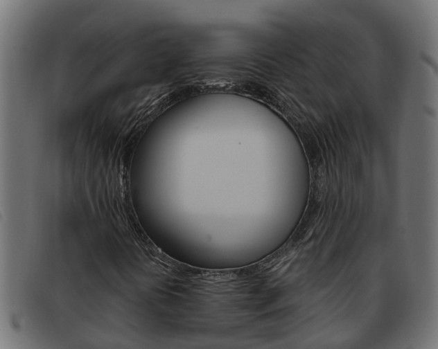 X0000093591394200710151008
