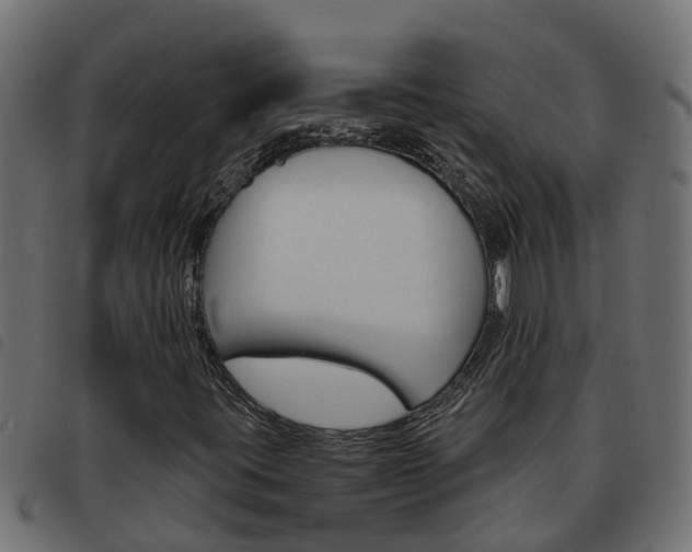 X0000093591395200710151008