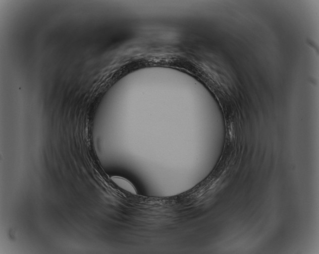 X0000093591396200710151008