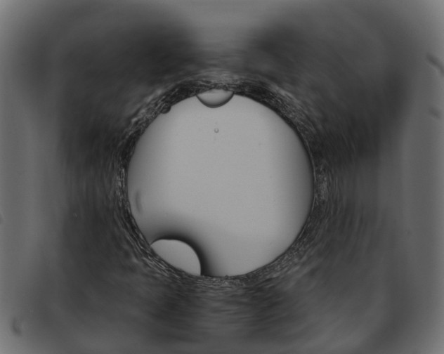 X0000093591397200710151008