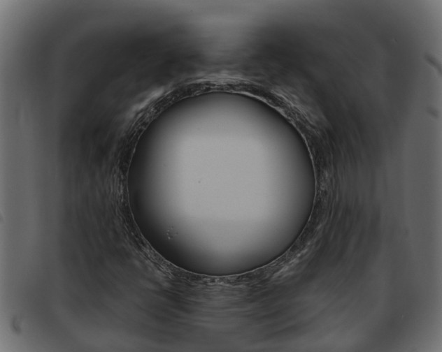 X0000093591398200710151008
