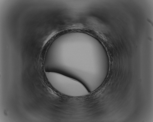 X0000093591400200710151008