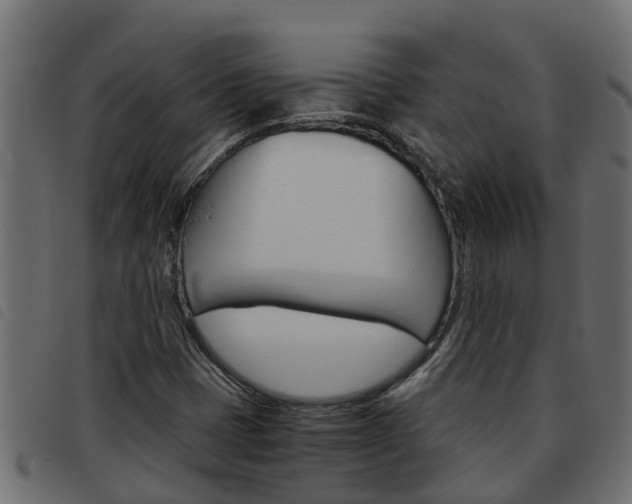 X0000093591401200710151008