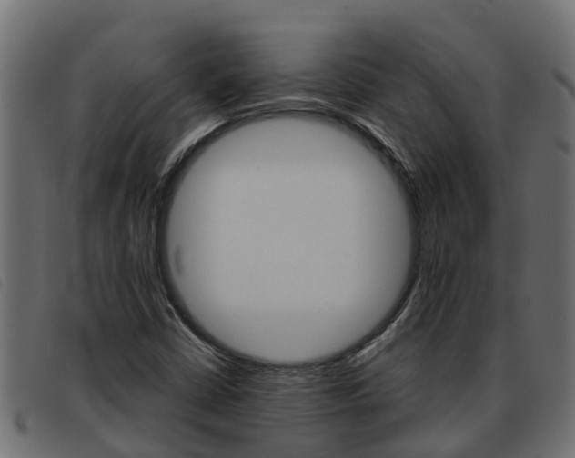 X0000093591402200710151008