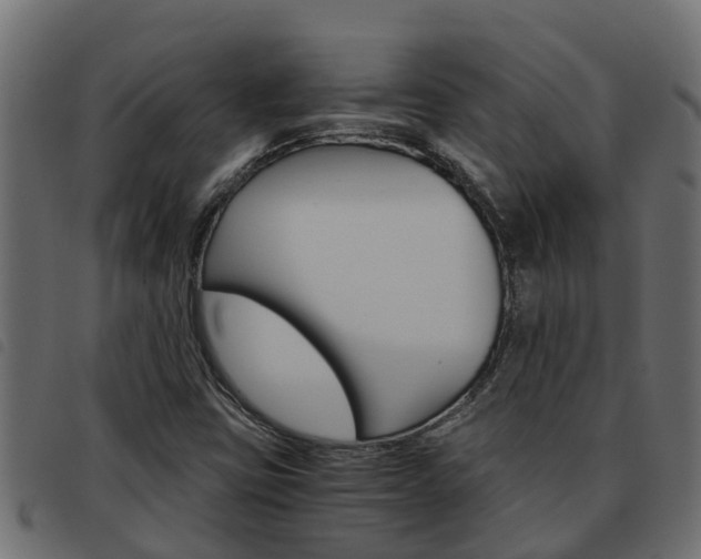 X0000093591403200710151008