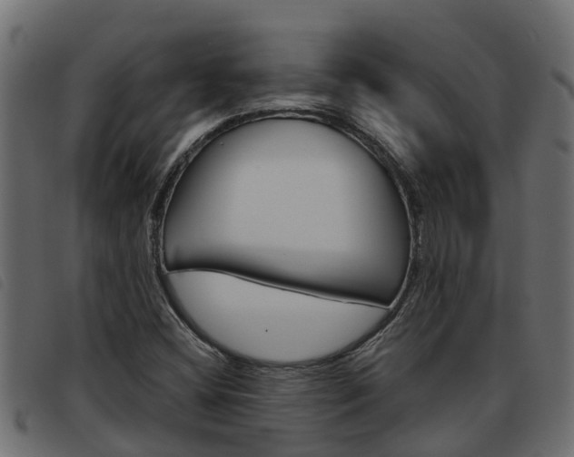 X0000093591404200710151008