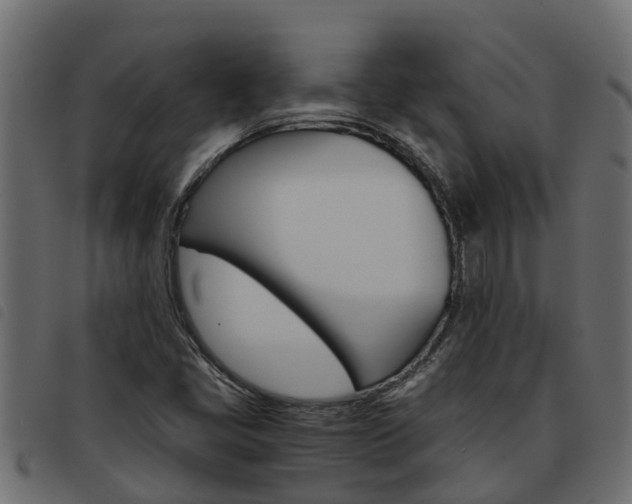 X0000093591405200710151008