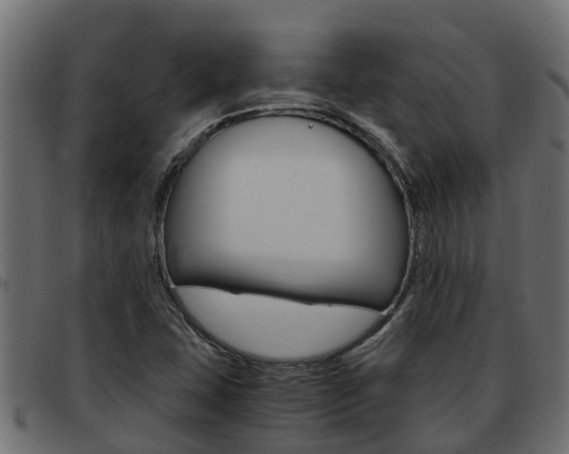 X0000093591407200710151008