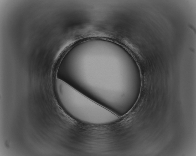 X0000093591408200710151008