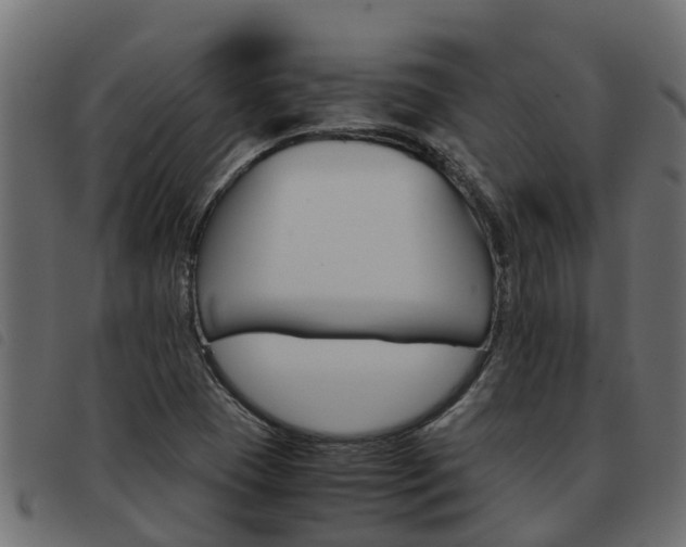 X0000093591409200710151008