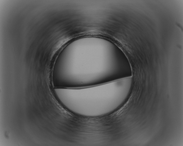 X0000093591410200710151008