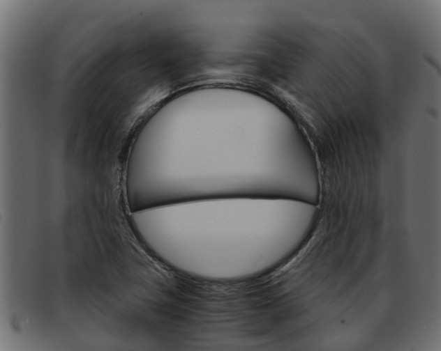 X0000093591411200710151008