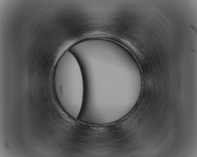 X0000093591413200710151008