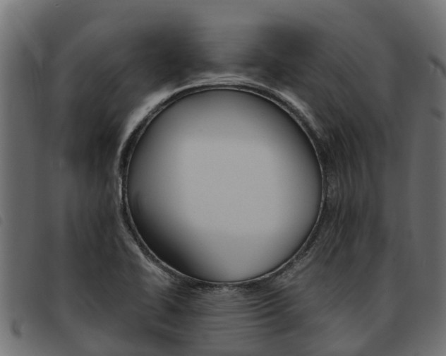 X0000093591414200710151008