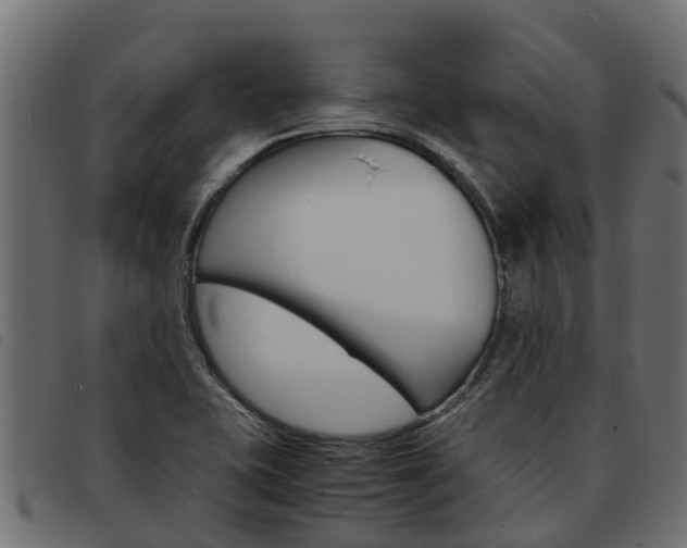 X0000093591415200710151008