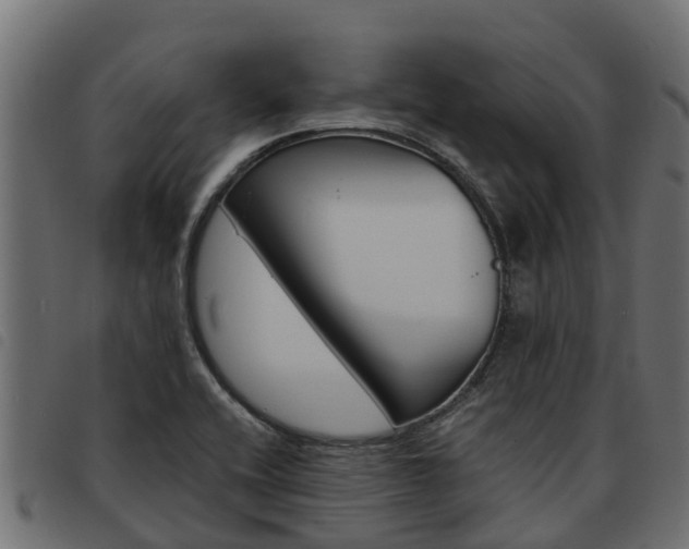 X0000093591416200710151008