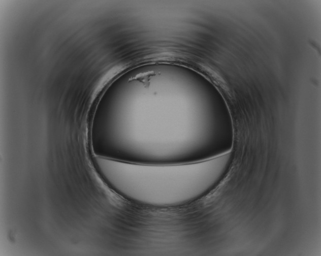 X0000093591418200710151008