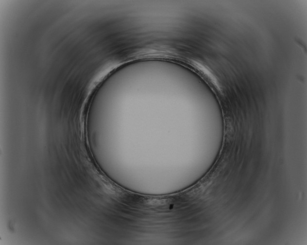 X0000093591419200710151008