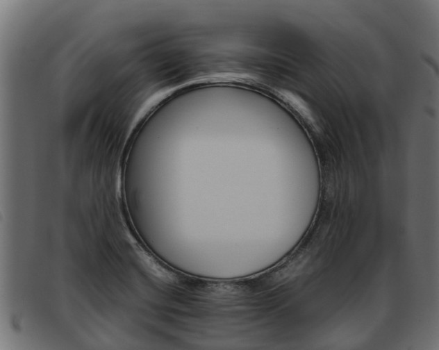 X0000093591420200710151008