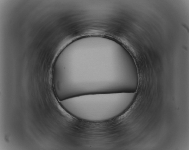 X0000093591421200710151008