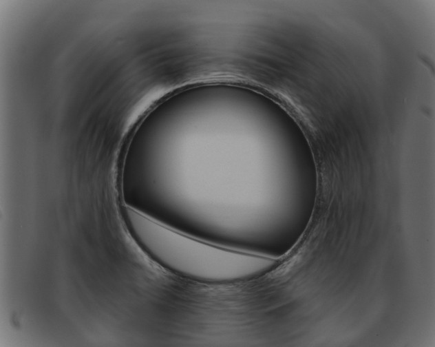 X0000093591422200710151008
