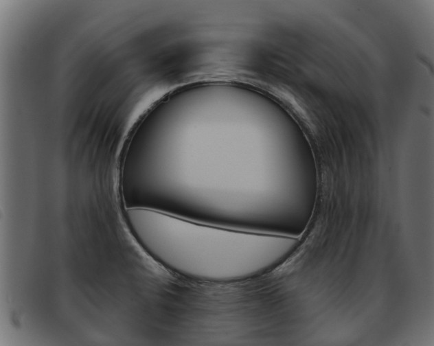 X0000093591424200710151008