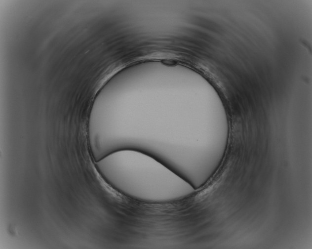 X0000093591425200710151008