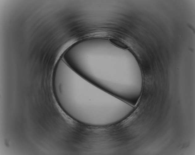 X0000093591426200710151008
