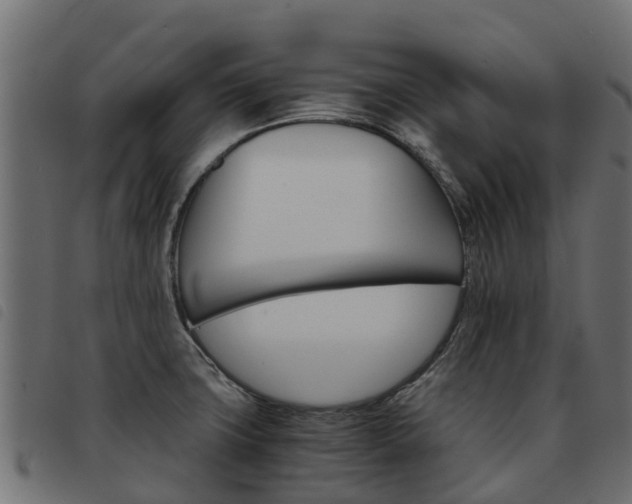 X0000093591427200710151008