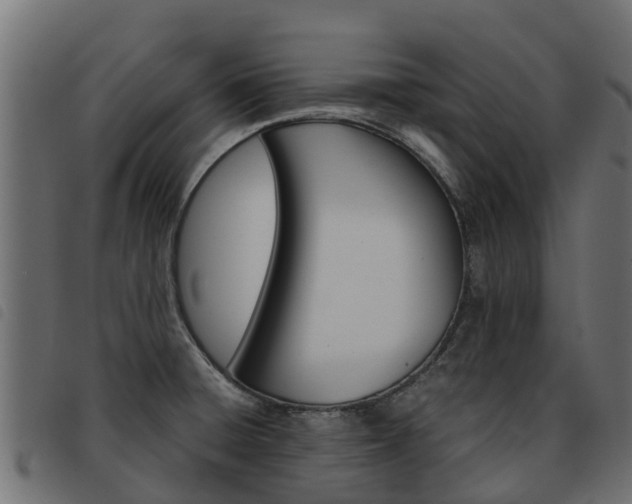 X0000093591428200710151008