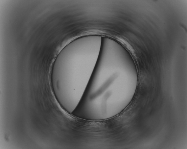 X0000093591429200710151008