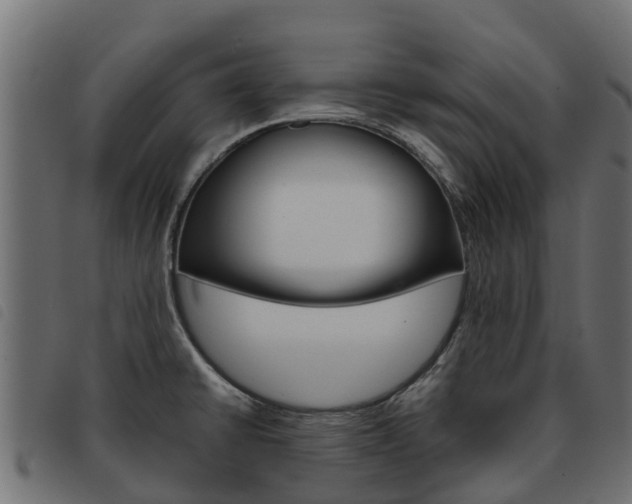 X0000093591430200710151008