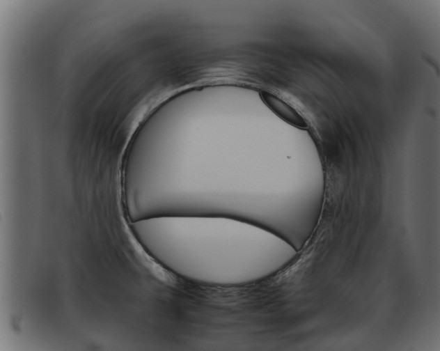 X0000093591431200710151008