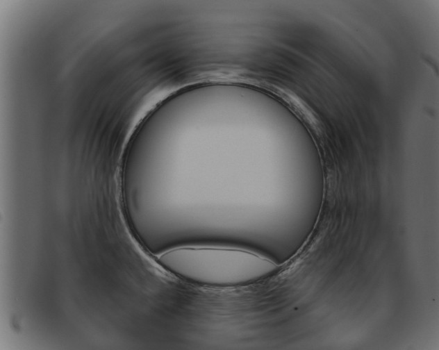X0000093591432200710151008