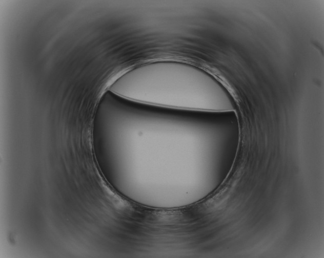 X0000093591433200710151008