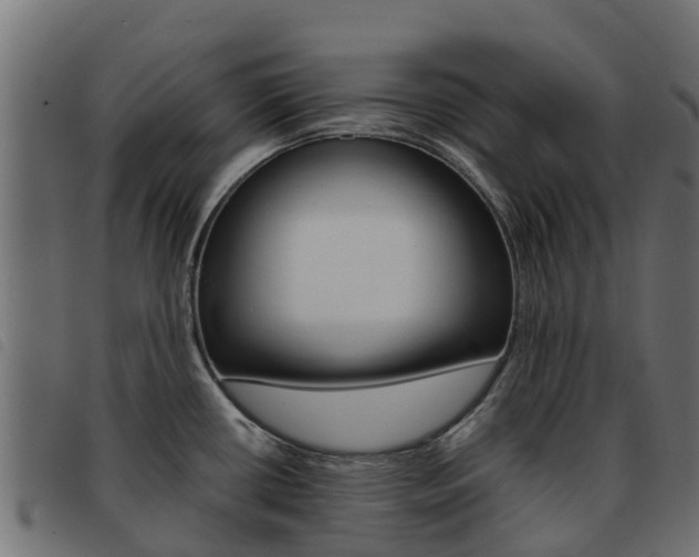X0000093591434200710151008