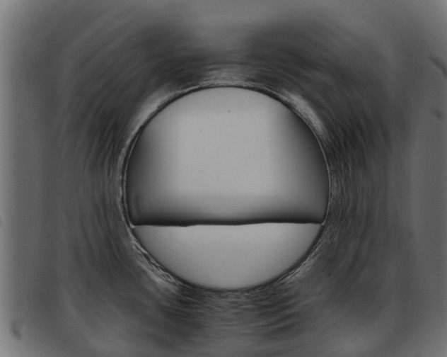 X0000093591435200710151008
