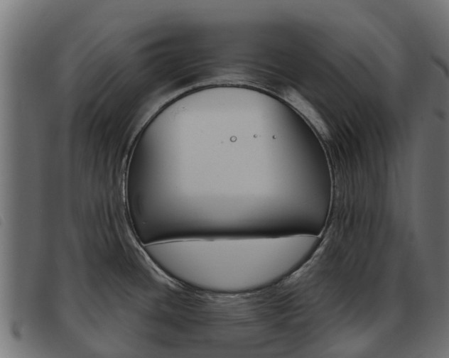 X0000093591436200710151008